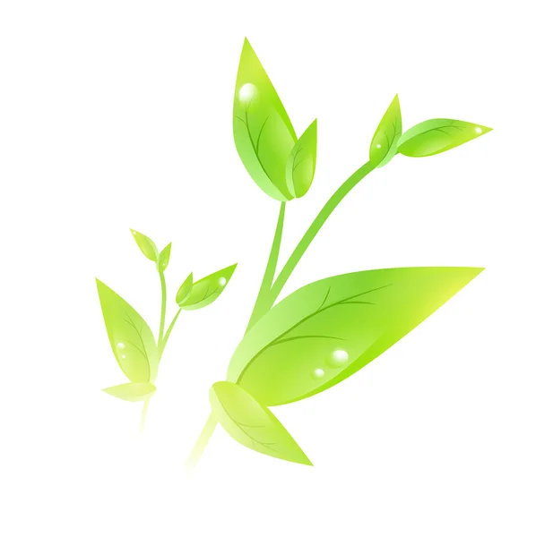Groene spruit — Stockvector
