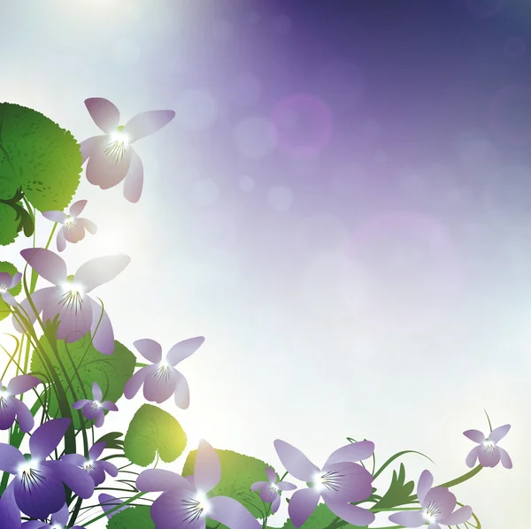 Flores violetas selvagens —  Vetores de Stock