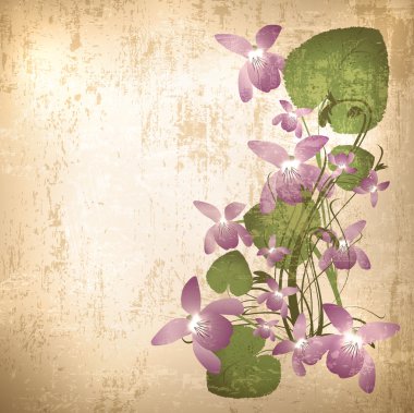 Vintage background with wild violet flowers clipart