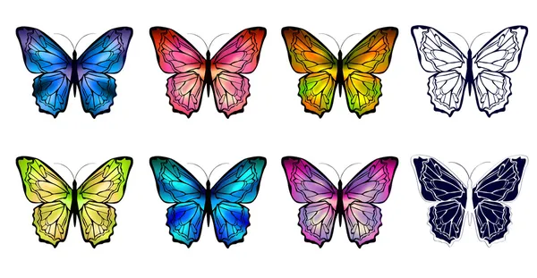 Vlinder verzameling — Stockvector