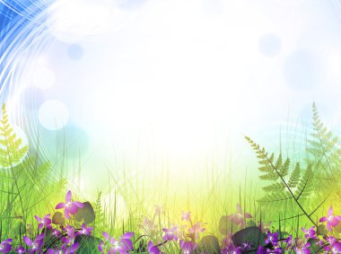 Summer meadow with viola flowers clipart