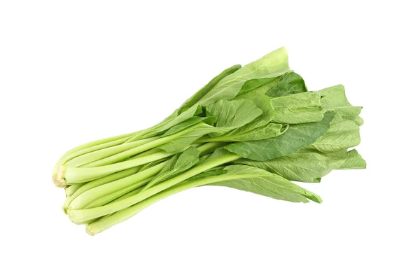 Μουστάρδα κινέζικα πράσινο λαχανικό σε άσπρο φόντο. — Φωτογραφία Αρχείου