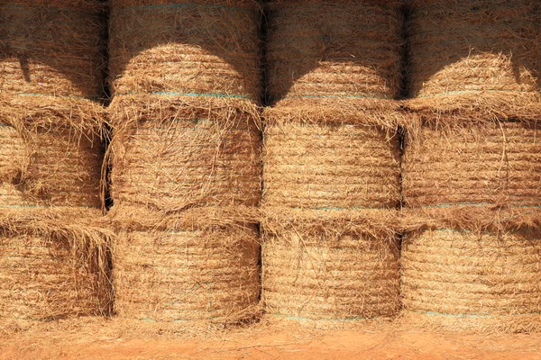 Stack dry hay in barn, — Stock Photo, Image
