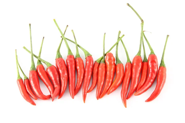 Fila di peperoncino rosso caldo . — Foto Stock