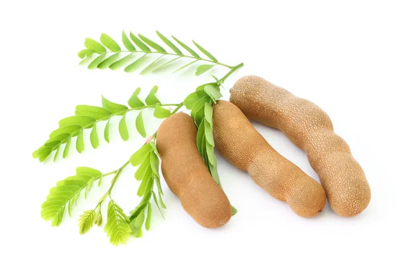 stock image Three tamarind in front of leaf.