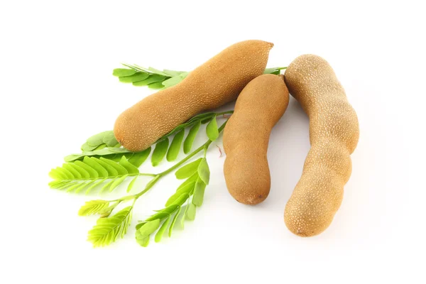 stock image Three tamarind on green leaf.