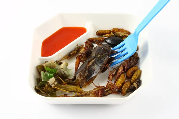 Spicy herb fried insect wings in food dish and blue fork.