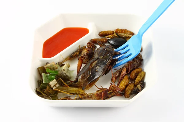 stock image Spicy herb fried insect wings in food dish and blue fork.