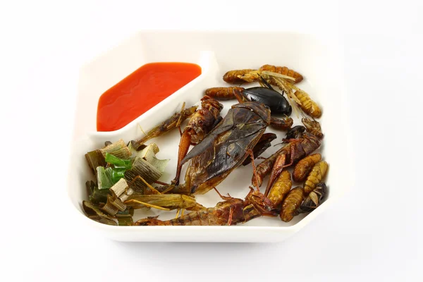 Ali di insetto fritte alle erbe piccanti nel piatto alimentare . — Foto Stock