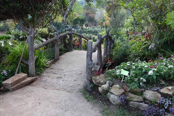 Stone path walk bridge in garden. — Stock Photo, Image