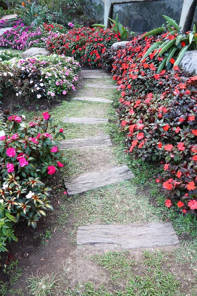 Wooden path walk in public garden. — Stock Photo, Image