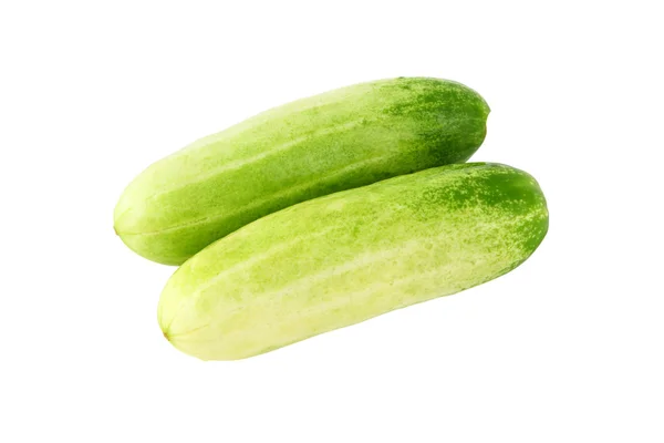 Two whole cucumbers — Stock Photo, Image