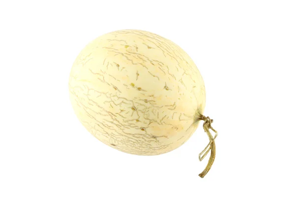 Cantaloupe melon ovalt højre hoved - Stock-foto