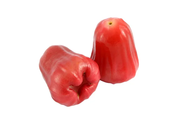 Dos manzanas rosadas rojas sobre fondo blanco . — Foto de Stock