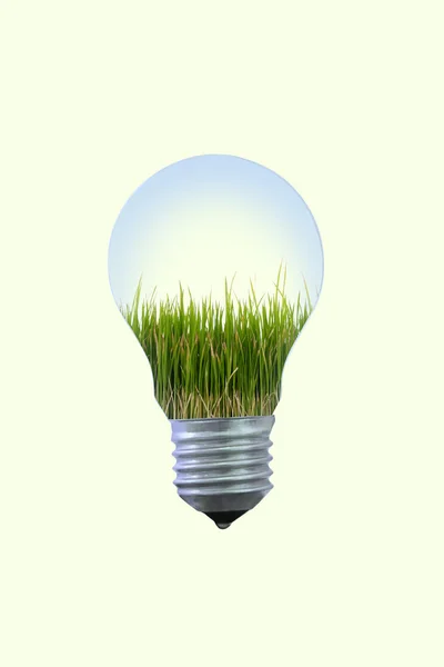 Groei van uw idee in elektrische lamp. — Stockfoto