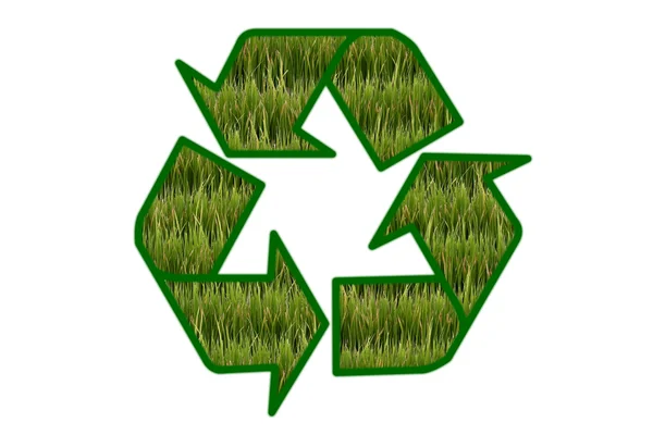 Recycler signe contiennent champ vert sur fond blanc . — Photo