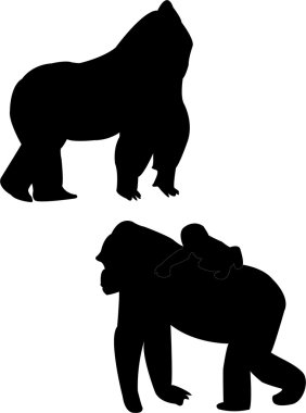 Gorillas clipart