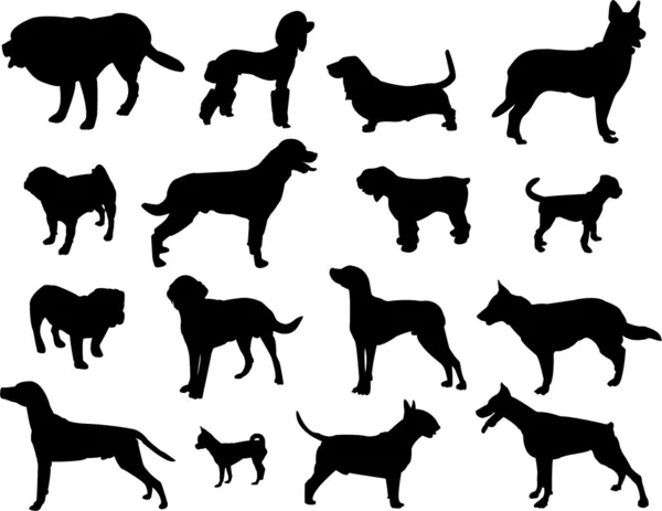 Dogs silhouette — Stock Vector