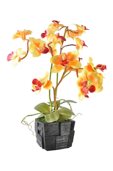 Arrangement de fleurs artificielles (Vanda jaune dans le pot en bois ) Images De Stock Libres De Droits