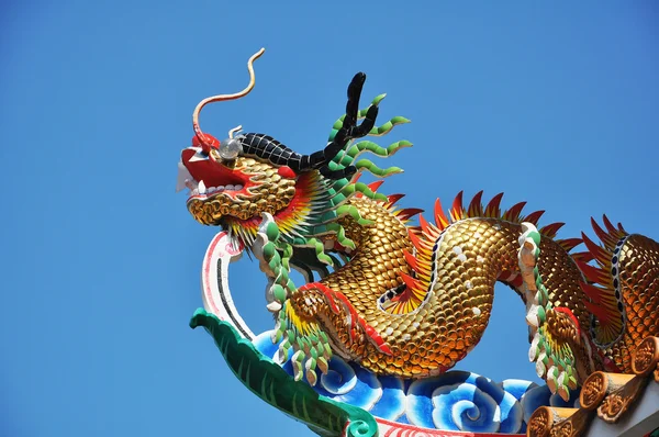 Dragon — Stock Photo, Image