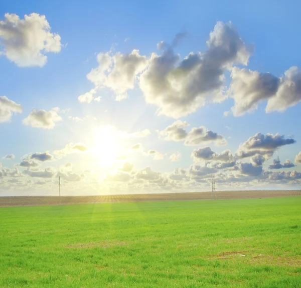 Campo verde e céu azul — Fotografia de Stock