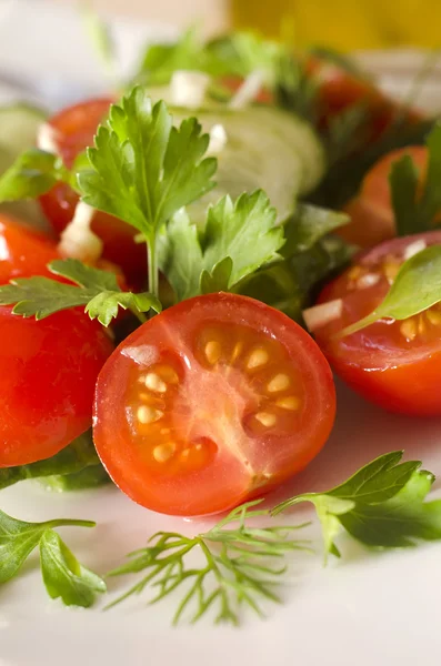 stock image Salad with tomato