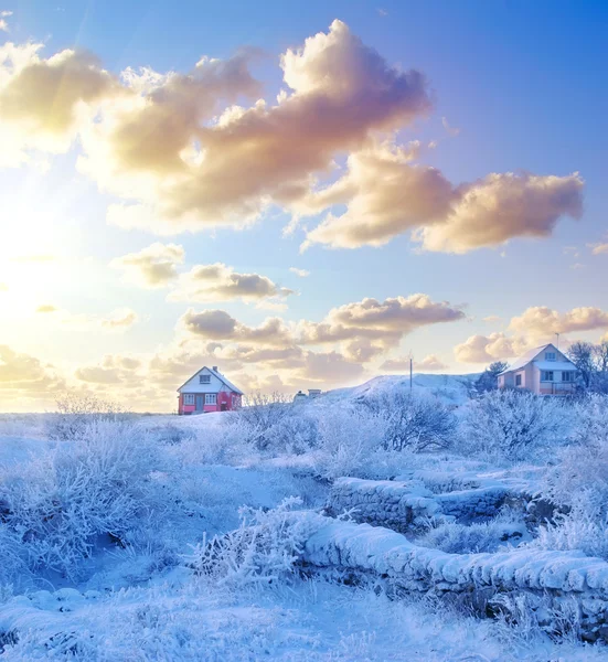 Winterlandschaft mit Bäumen und alten Häusern — Stockfoto