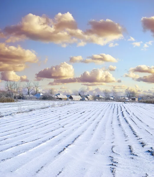 stock image Winter