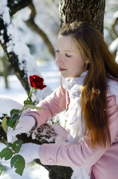 stock image Woman and rose