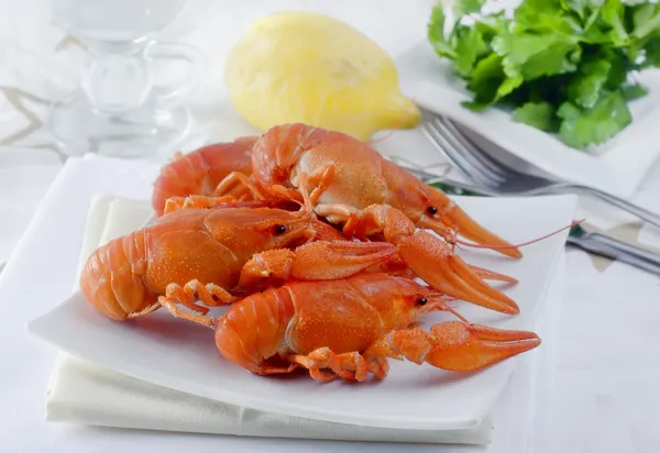 Lobster direbus — Stok Foto