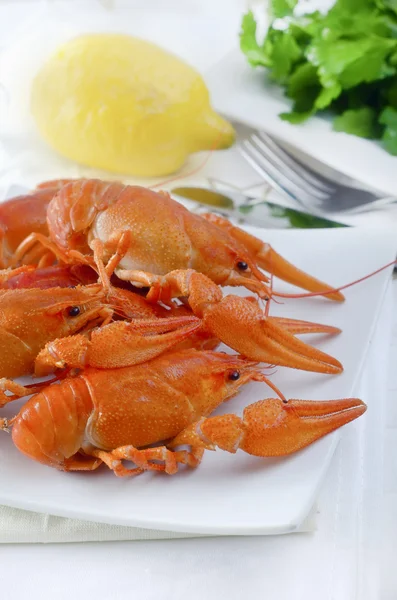 Lobster direbus — Stok Foto