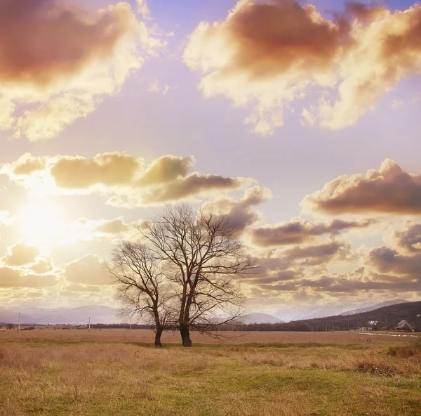 stock image Nature in Crimea