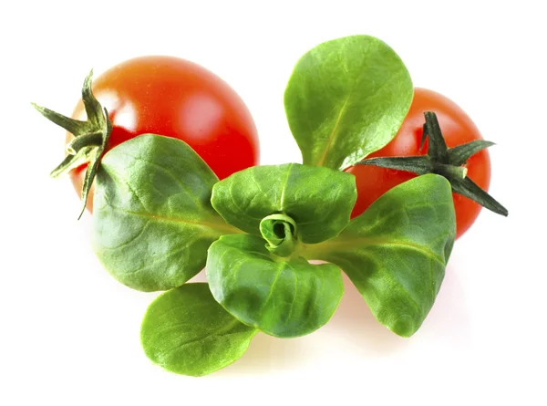 Tomaten en spinazie — Stockfoto