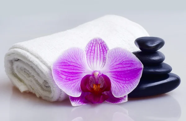 Дзен-камни и орхидея — стоковое фото