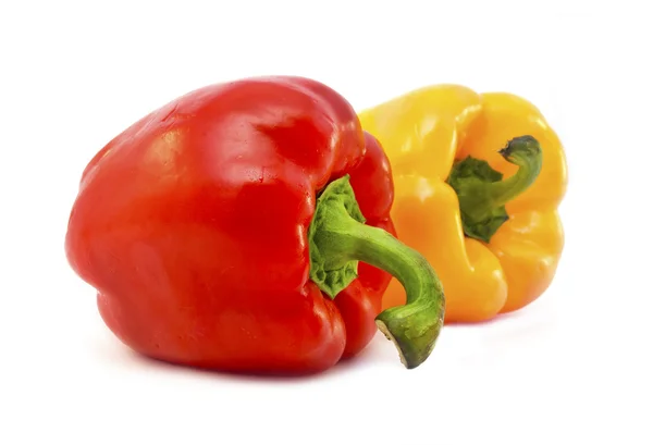 Color peppers — Stock Photo, Image