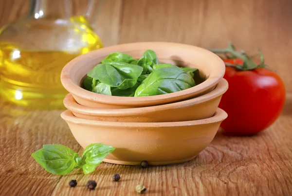 Basilic et tomate — Photo