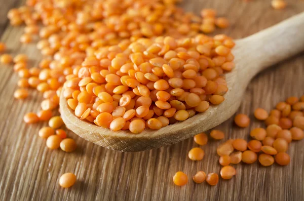 stock image Lentil