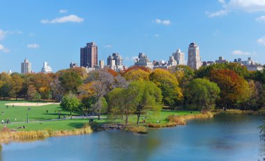 New York'un manhattan central park panorama