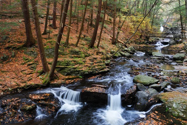Осенний ручей в лесу с листьями — стоковое фото