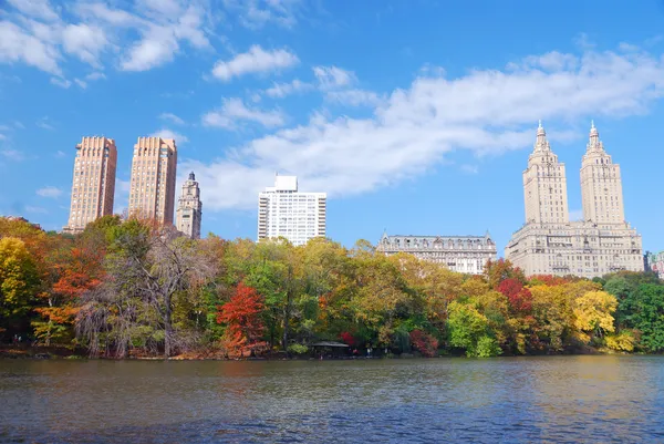 Central Park in New York City Manhattan — Stock Photo, Image