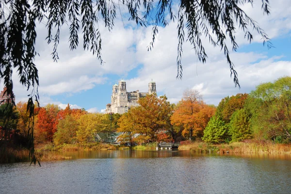 Central park