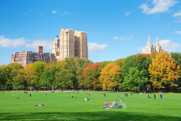 纽约中央公园与云和蓝色的天空 — 图库照片