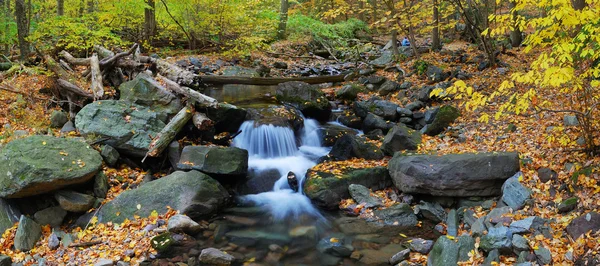 Outono creek panorama e folhagem — Fotografia de Stock