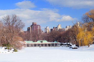 New York'un manhattan central park panorama