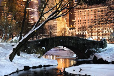 New York'un manhattan central park panorama alacakaranlıkta