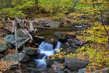 sonbahar creek