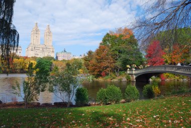 New York Şehri Central Park