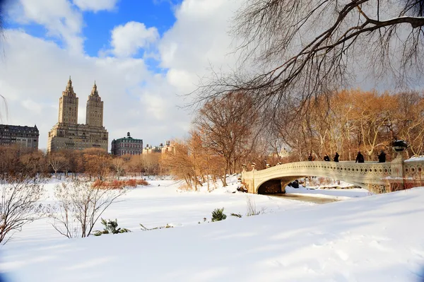 New york city panorama Manhattanu central park v zimě — Stock fotografie