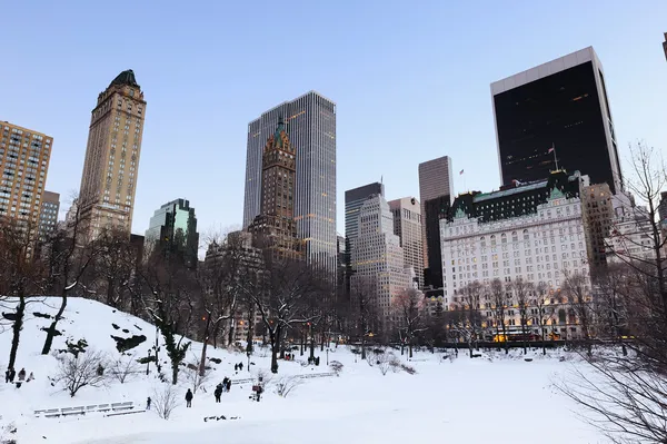 Nova Iorque Manhattan Central Park panorama — Fotografia de Stock