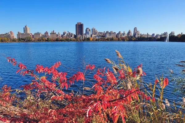 New york city manhattan herfst — Stockfoto